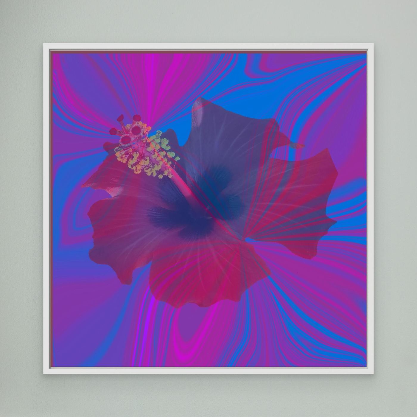 Hibiscus Swirl