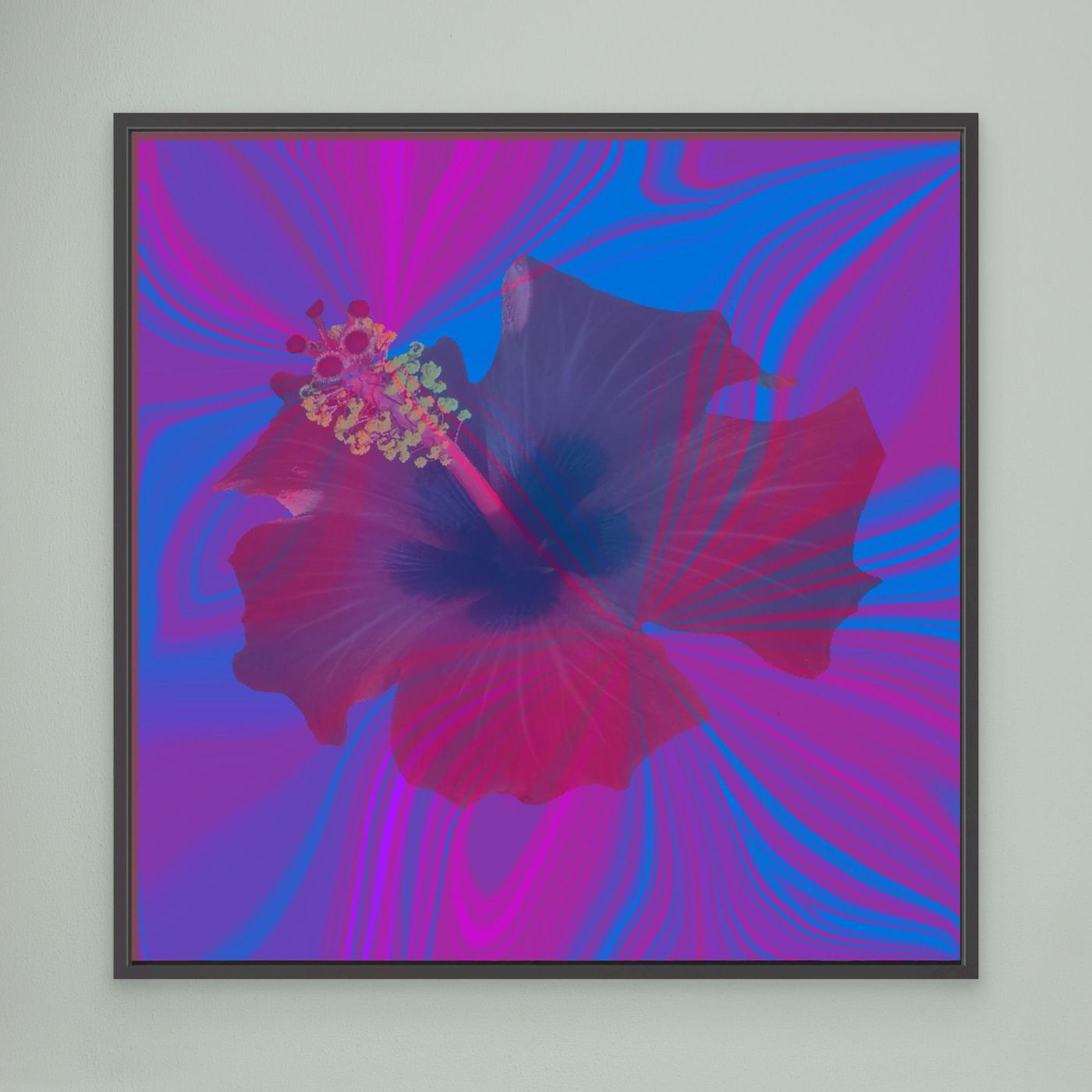 Hibiscus Swirl
