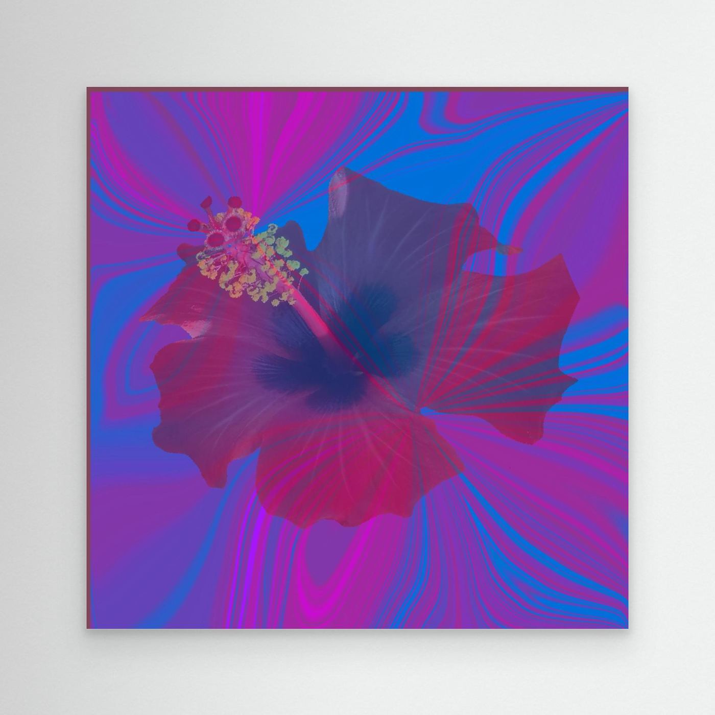 Hibiscus Swirl
