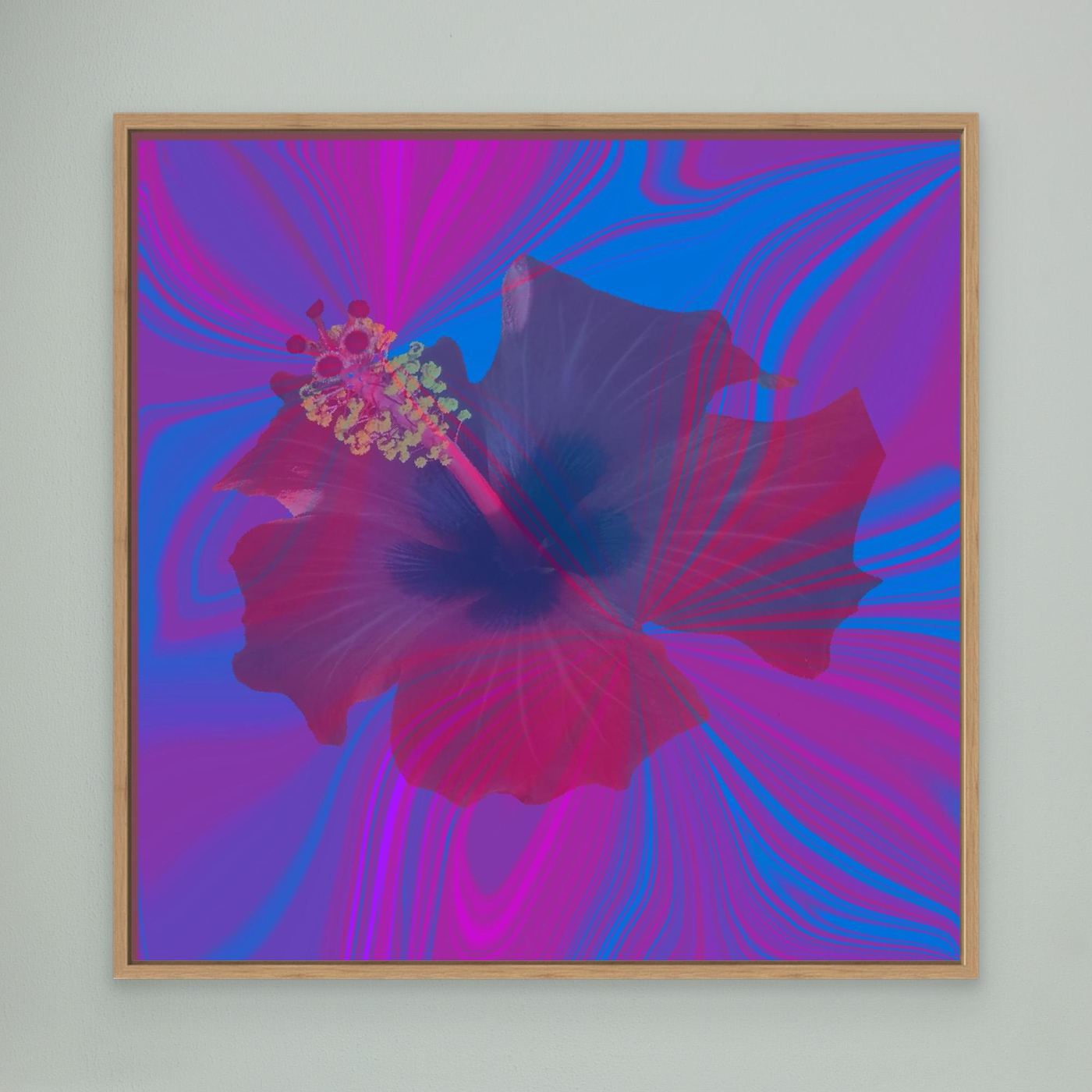 Hibiscus Swirl