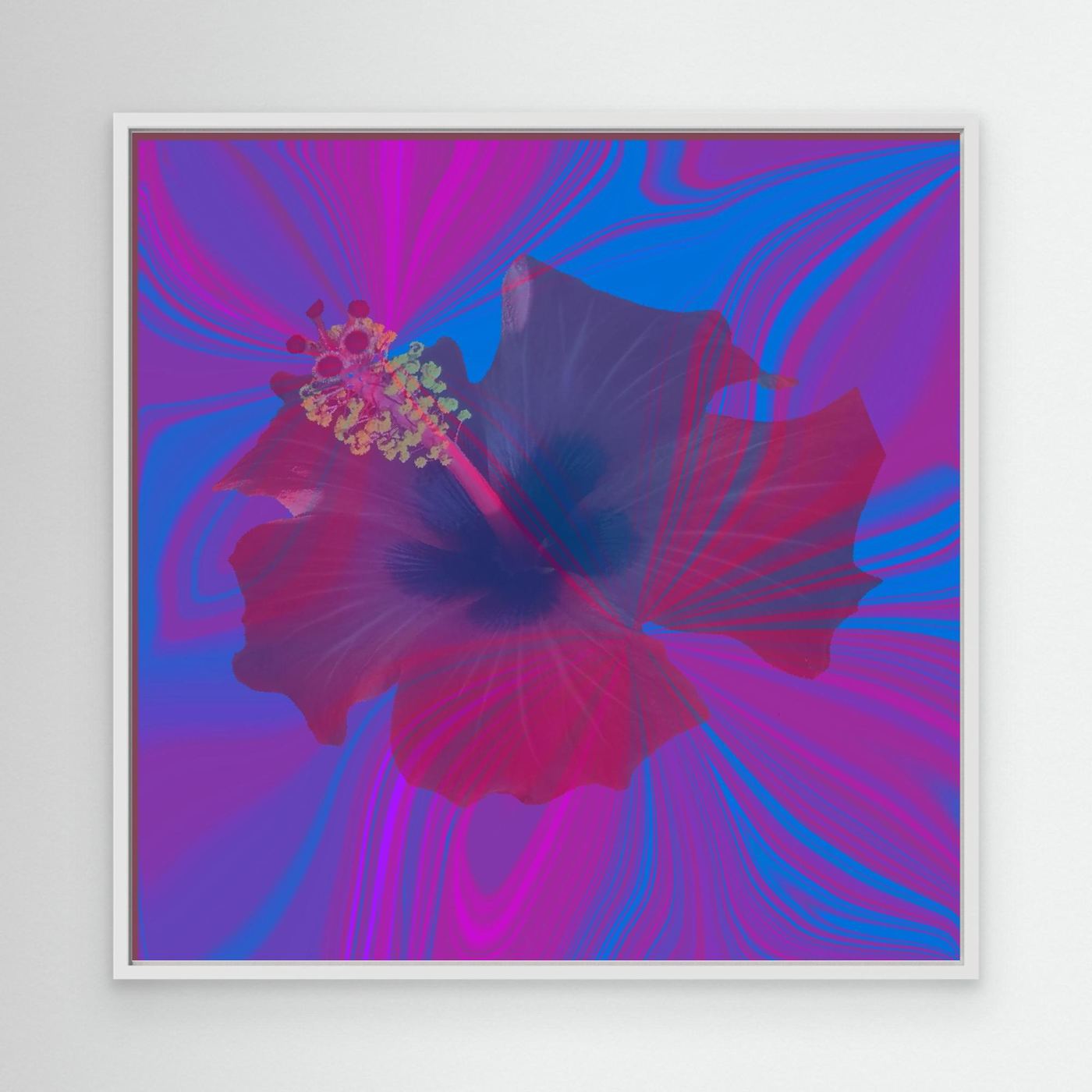 Hibiscus Swirl