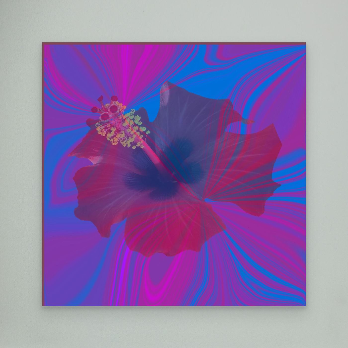 Hibiscus Swirl